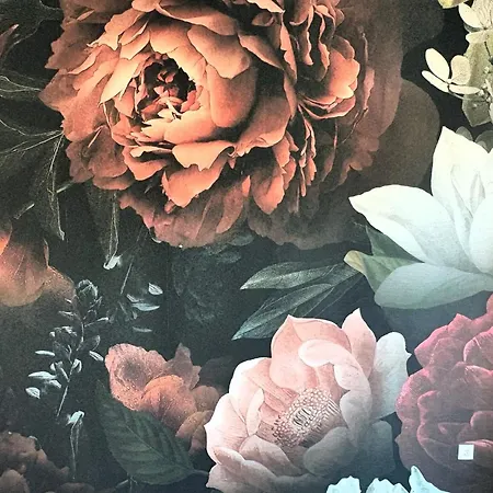 Beletage Luxury * 그라츠